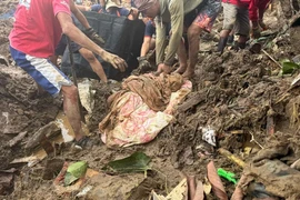 Hơn 110 người tử vong vì bão Kalmaegi ở Philippines