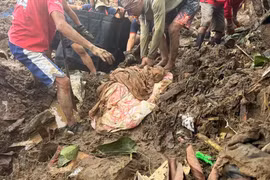 Hơn 110 người tử vong vì bão Kalmaegi ở Philippines