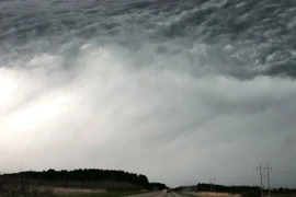 Loạt khoảnh khắc trùng hợp khiến người nhìn sửng sốt