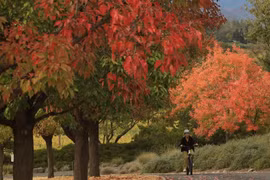 Ngắm cảnh sắc mùa thu tuyệt đẹp tại thung lũng ở California