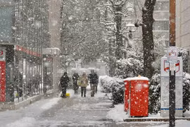 Hình ảnh tuyết phủ trắng xóa ở Nhật Bản trong mùa đông lạnh giá