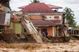 Số người tử vong do lũ lụt, lở đất ở Indonesia tăng lên 442
