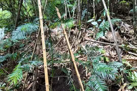 Bị nước lũ cuốn trôi, 5 người tử vong ở Trung Quốc