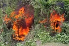 Ô tô bốc cháy sau va chạm, 8 người trong một gia đình tử vong