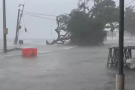 Hình ảnh bão Matmo đổ bộ vào Trung Quốc