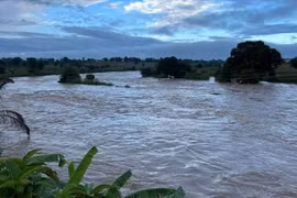 Lũ lụt ở Niger, hơn 120 người thiệt mạng