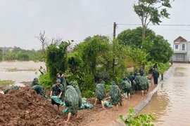 Thông tin sự cố nước tràn đê bối tại Hưng Yên do bão số 3