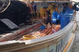 Ba ngư dân tử vong vì ngộ độc khí trên tàu cá