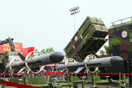 Tổ hợp tên lửa Trường Sơn do Việt Nam sản xuất có gì đặc biệt?