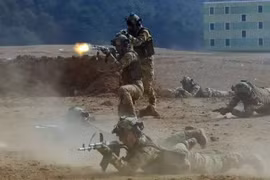 Đặc nhiệm Triều Tiên đã thu được kinh nghiệm nào ở mặt trận Kursk?