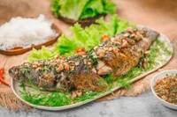 Cá lóc giàu dinh dưỡng nhưng chuyên gia cảnh báo 4 nhóm người hạn chế ăn