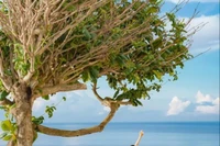 Hè này khám phá Bích Đầm, nên đi tour hay tự túc?