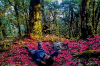 5 cung trekking mùa xuân miền Bắc khiến dân mê xê dịch 'đứng ngồi không yên'