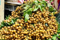 Loại quả 'nhỏ mà có võ' giúp tăng đề kháng, dưỡng da tươi trẻ