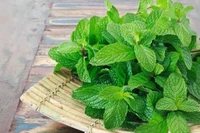 Loại rau ăn mát lạnh, bổ hơn sữa, tốt cho sức khỏe