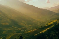 Săn mùa vàng Mù Cang Chải, chọn tour nào đáng tiền?
