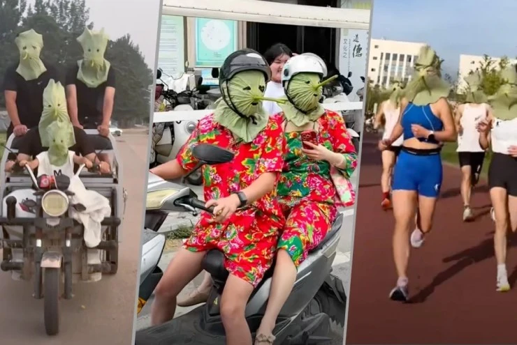 "Chế" khẩu trang bằng lá sen tại Trung Quốc gây bão mạng