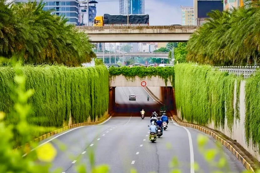 [GALLERY] Hà Nội phủ xanh trụ đường sắt đô thị, cầu vượt và hầm chui