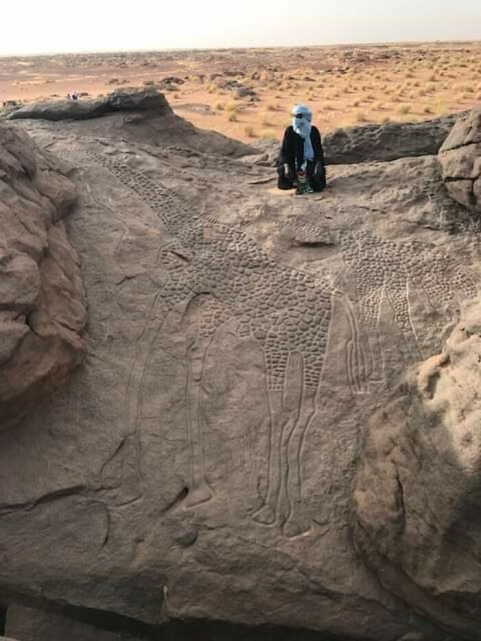 Những bức chạm khắc hình hươu cao cổ 10.000 năm tuổi ở sa mạc Sahara.