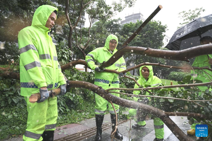 Các nhân viên dọn dẹp cây đổ trên đường trong trận mưa lớn ở Thâm Quyến, tỉnh Quảng Đông, ngày 20/7.