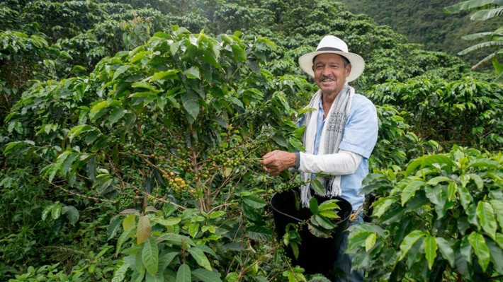 Colombia là một trong những quốc gia sản xuất cà phê hàng đầu thế giới và cà phê Colombia được yêu thích trên toàn thế giới.