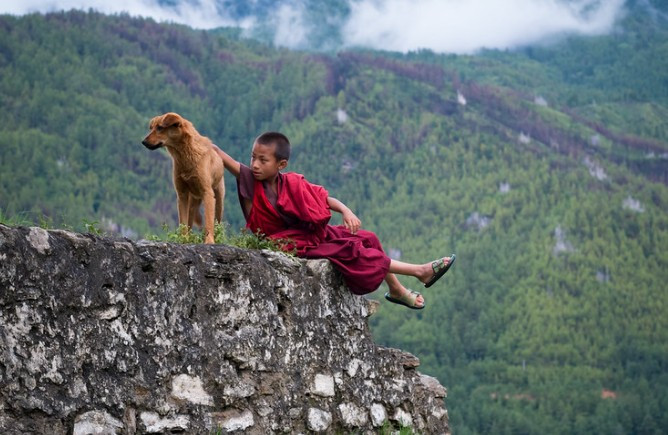 Người dân ở Bhutan rất quan tâm đến động vật và thiên nhiên, chú trọng đến việc trồng cây. Vào năm 2015, Bhutan đã lập kỷ lục thế giới khi trồng 50.000 cây chỉ trong một giờ.