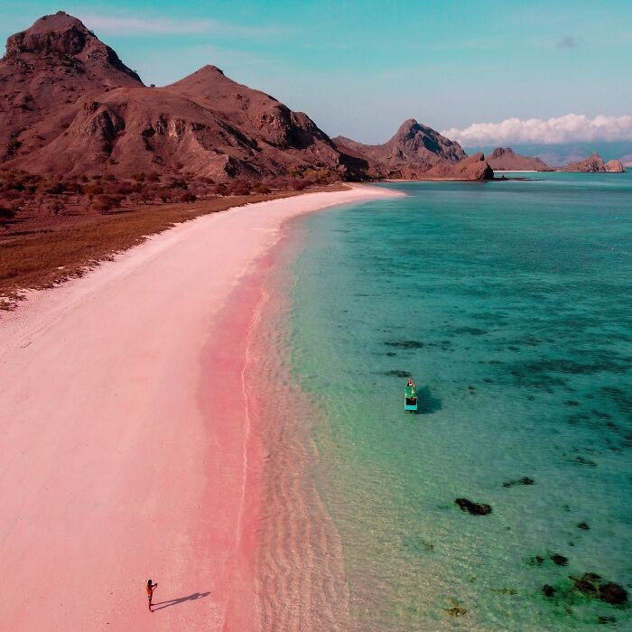 Bãi biển hồng ở đảo Padar là một trong những điểm đến hiếm có và ngoạn mục tại Indonesia. Bãi biển có màu hồng đặc trưng, tạo nên một khung cảnh vô cùng ấn tượng và thu hút khách du lịch.