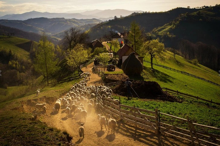 Buổi chiều tối mùa xuân của một ngôi làng ở Romania.