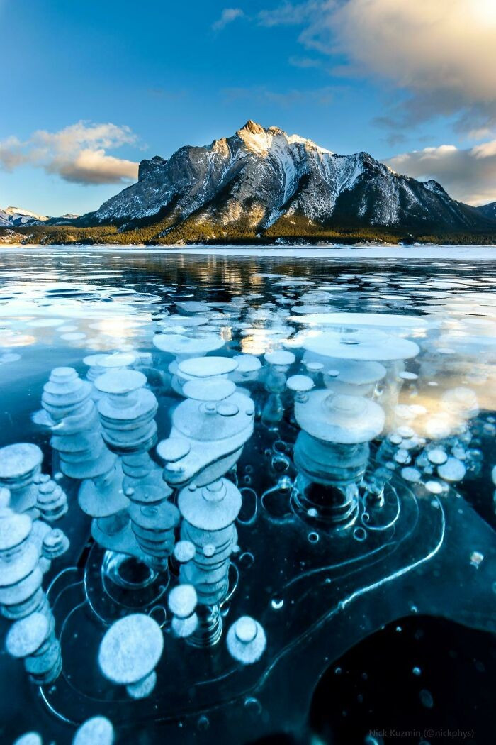 Cảnh tượng bong bóng khí mê-tan đóng băng tại hồ Abraham, Alberta, Canada.