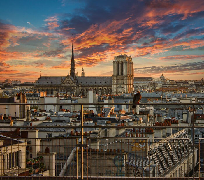 Nhà thờ Đức Bà Paris được coi là điểm số 0 để đo khoảng cách từ thủ đô Paris đến các thành phố khác của Pháp.