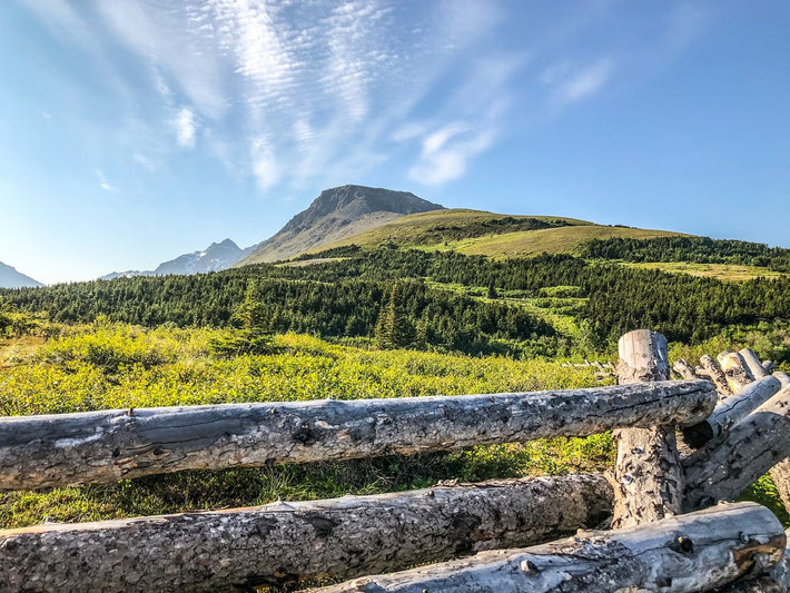 Tại thành phố lớn nhất bang Alaska (Mỹ) này, cư dân và du khách có thể tận hưởng rất nhiều hoạt động giải trí, bao gồm đi bộ đường dài, câu cá, trượt tuyết và ngắm động vật hoang dã,...Đáng chú ý, thành phố này nổi tiếng với loài nai sừng tấm sinh sống. Ảnh: iStock.