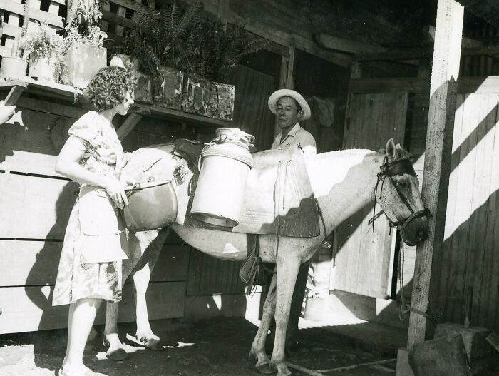 Người giao sữa Parrita đang buộc chặt những bình sữa vào yên ngựa vào khoảng năm 1940 đến 1943.