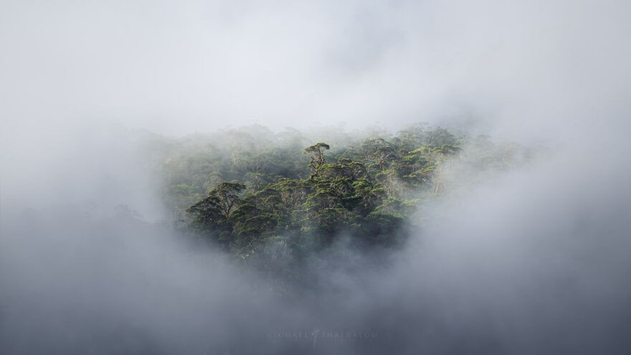 Lúc bình minh ở Milford Sound, sương mù tan để lộ khu rừng nhiệt đới tuyệt đẹp ở phía xa.