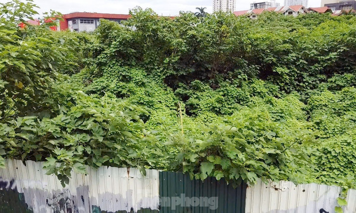 "Không hiểu vì lý do gì mà khu đất này quây tôn bỏ hoang suốt nhiều năm qua không thấy chủ đầu tư triển khai xây dựng. Với vị trí nằm ở trung tâm Thủ đô mà khu đất bỏ hoang rất lãng phí, nếu chủ đầu tư không triển khai thì thành phố cần thu hồi dự án để phục vụ cho mục đích công cộng", ông Nguyễn Sơn - người dân sống gần dự án kiến nghị.