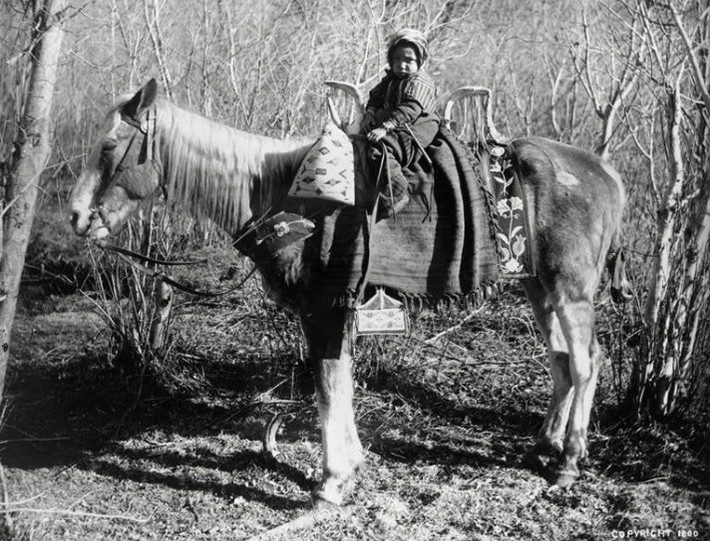 Một đứa trẻ đang cưỡi ngựa trong rừng ở Montana vào khoảng năm 1900.