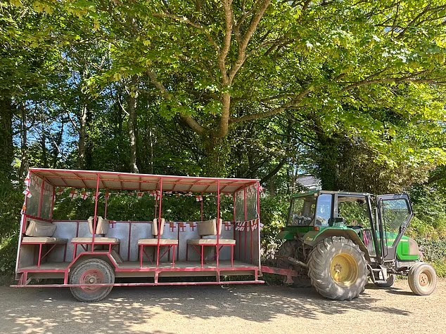 Tại đây, mọi người cảm thấy như mình đang "sống trong những năm 90" với hình thức di chuyển chủ yếu là đi bộ, xe đạp, cưỡi ngựa,...