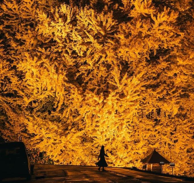 Bức ảnh chụp tại Aomori, Nhật Bản.