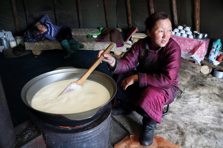 Một phụ nữ Tsaatan đun sôi sữa để làm pho mát.