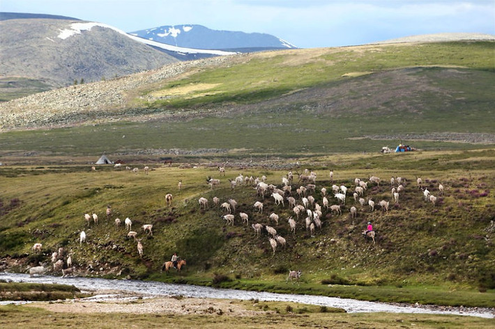 Một buổi chiều yên bình ở Ulaan Taiga.