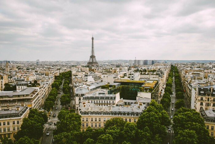 Theo Bored Panda, đếm cây là một công việc chính thức ở Paris. Chính phủ sẽ trả tiền cho người được thuê đếm tất cả số cây xanh ở thủ đô nước Pháp. (Nguồn ảnh: Bored Panda)