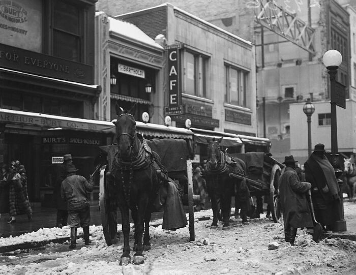 Những chú ngựa kéo xe trên phố phủ đầy tuyết ở Washington DC năm 1925.