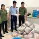 Triệt phá cơ sở sản xuất thức ăn cho mèo giả Catsrang