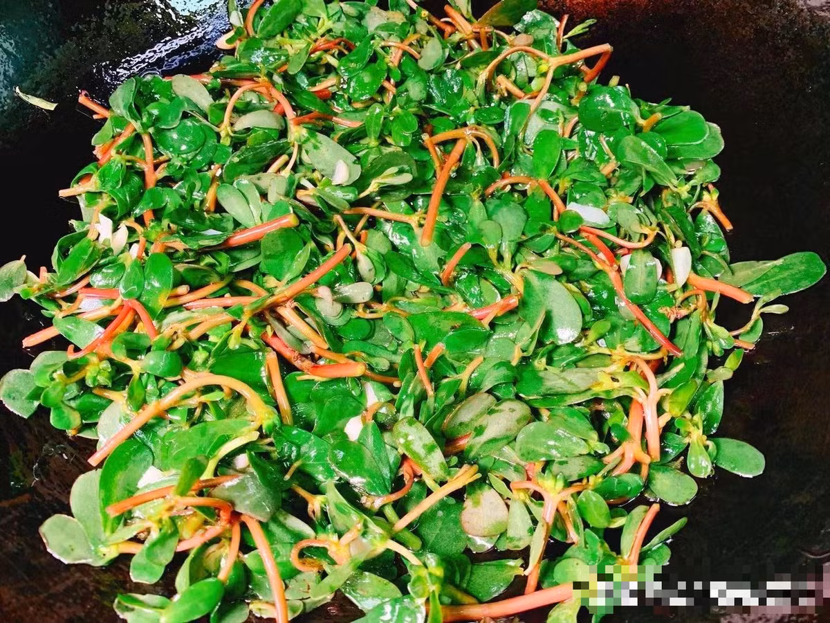 Loai rau dai xua moc day duong, nay duoc coi nhu bau vat-Hinh-4