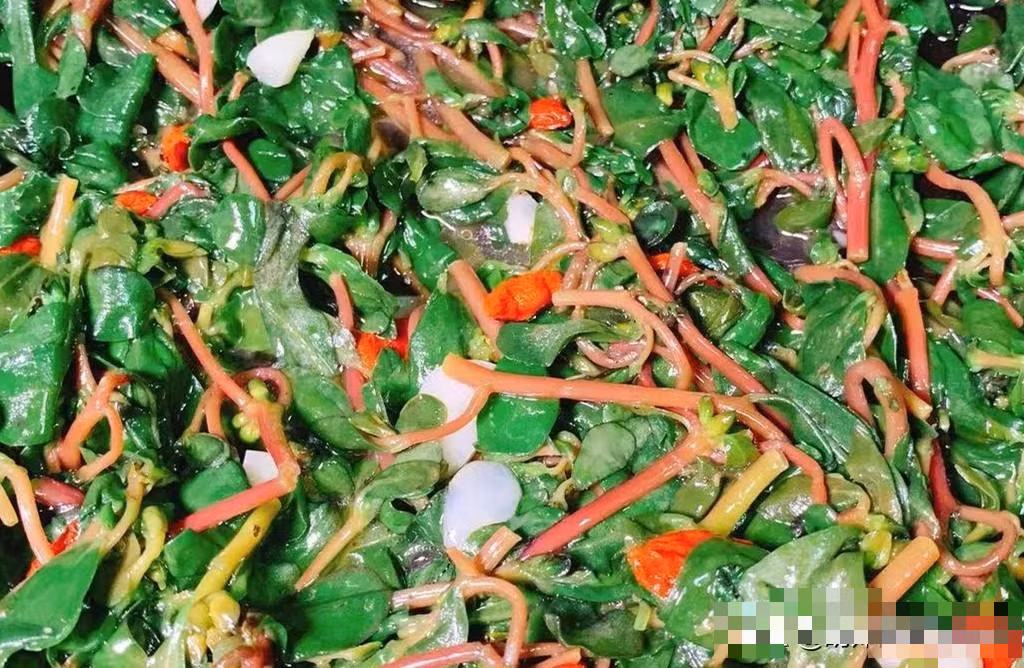 Loai rau dai xua moc day duong, nay duoc coi nhu bau vat-Hinh-5