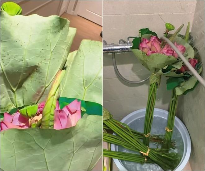 hi chia sẻ video tự tay cắm hoa sen, vợ diễn viên phim "Hương vị tình thân" thổ lộ: "Ước gì em bền được vài ngày để cho mình ngắm". Để hoa sen giữ được độ tươi lâu hơn, khi mua về Phương Phạm cũng đã ngâm hoa trong nước lạnh và phun nước lên hoa.