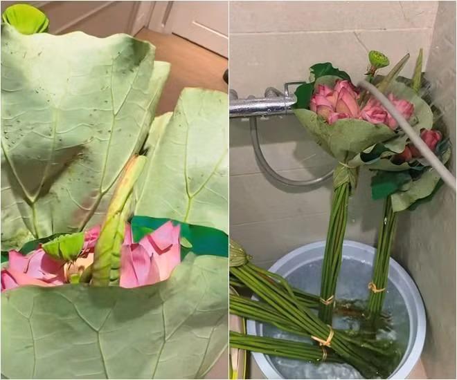 Khi chia sẻ video tự tay cắm hoa sen, vợ diễn viên phim "Hương vị tình thân" thổ lộ: "Ước gì em bền được vài ngày để cho mình ngắm". Để hoa sen giữ được độ tươi lâu hơn, khi mua về Phương Phạm cũng đã ngâm hoa trong nước lạnh và phun nước lên hoa.