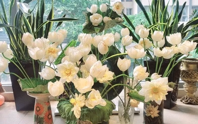 Những bình sen trắng được cắm khéo léo tạo nên một bức tranh tự nhiên và thanh tao, làm bừng sáng không gian sống.