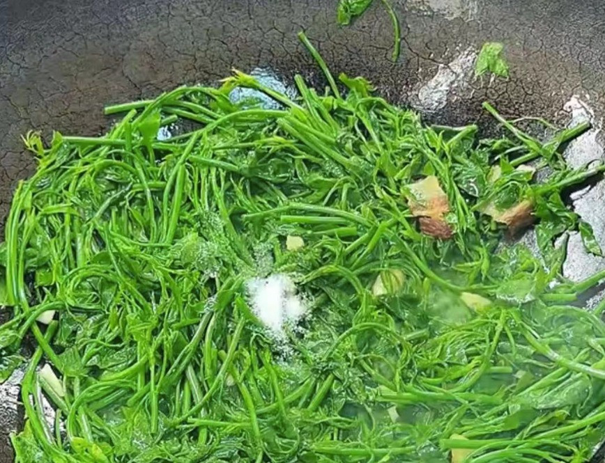 Loai rau giup thanh nhiet, cai thien giac ngu, ngua loang xuong-Hinh-12