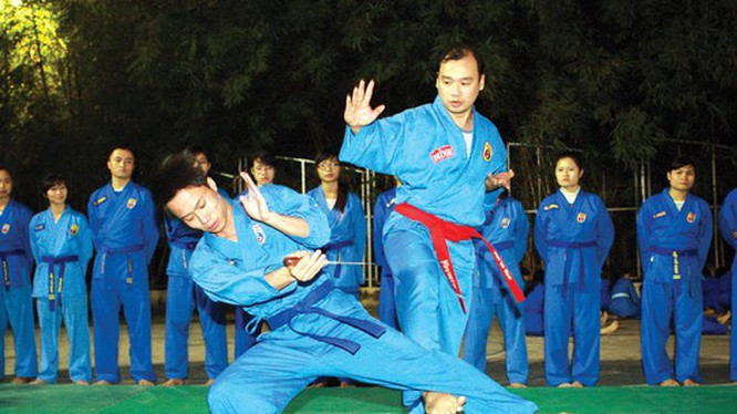 Bên cạnh lĩnh vực ngoại giao, ông còn là Tổng thư ký Liên đoàn Vovinam Hà Nội, phó Tổng thư ký Liên đoàn Vovinam Việt Nam và là một võ sư hồng đai đệ nhất cấp của môn phái Vovinam. (Cho đến tháng 4/2021)