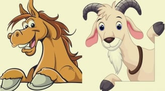 Tất nhiên, trong gia đình không thể tránh khỏi việc vợ chồng tranh cãi, không thống nhất được quan điểm nhưng hầu như mọi chuyện sẽ được giải quyết êm đẹp nhất. Họ chính là cặp đôi có cuộc sống hôn nhân lâu dài, cùng nhau xây dựng tổ ấm hạnh phúc, sung túc.